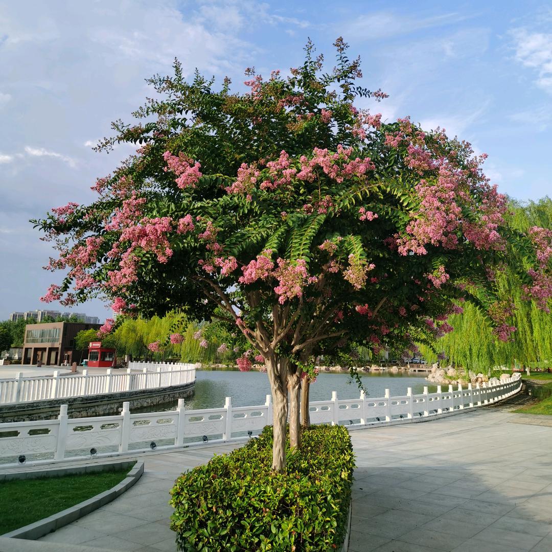 端着板凳看热闹