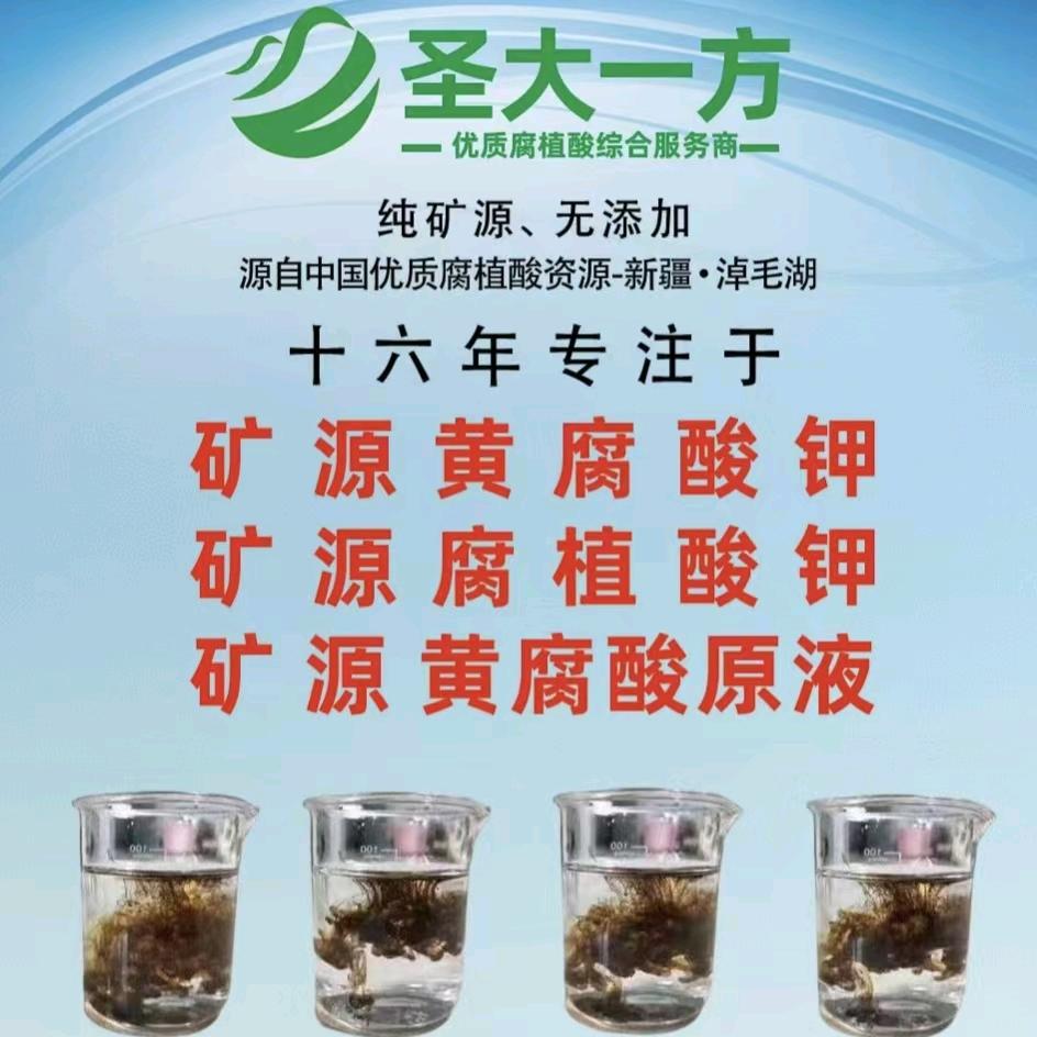 新疆圣大一方山东分公司