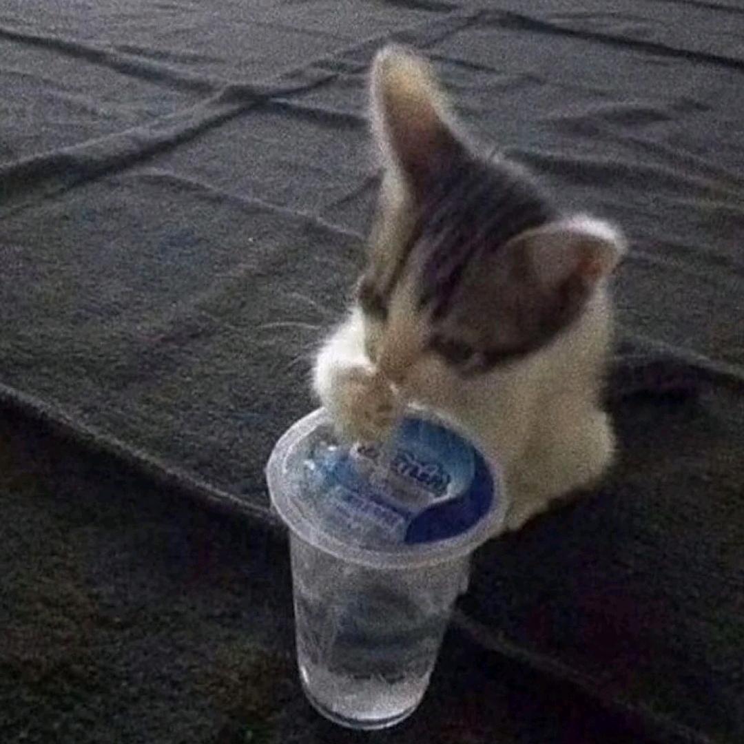 波浪线