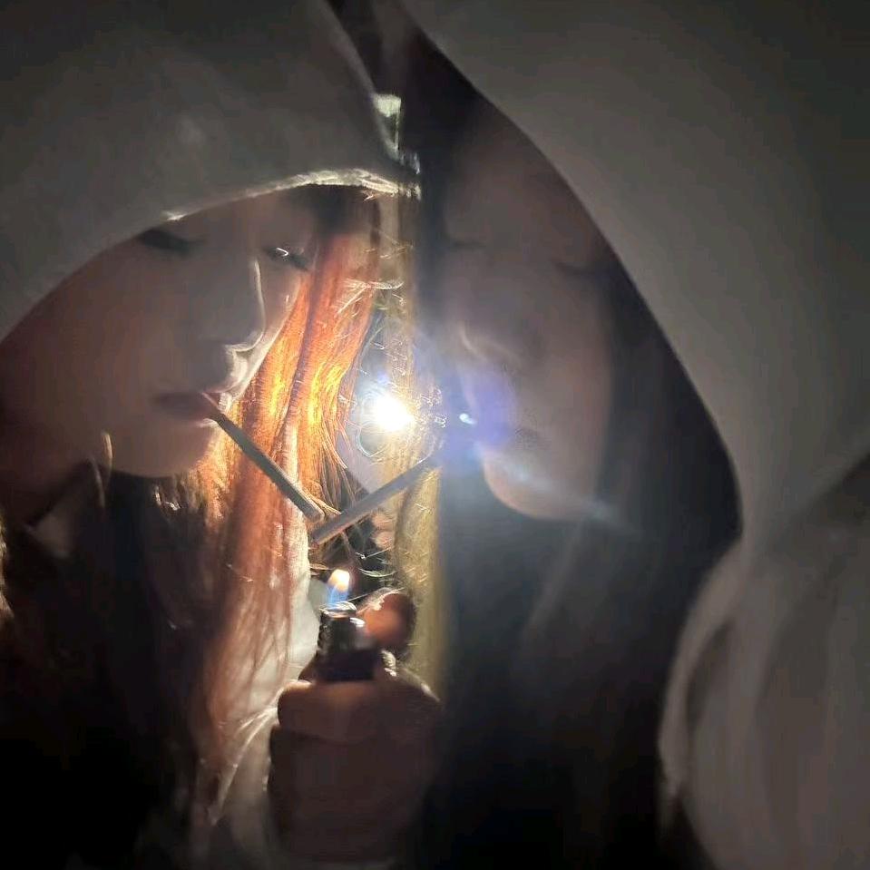 清鹭