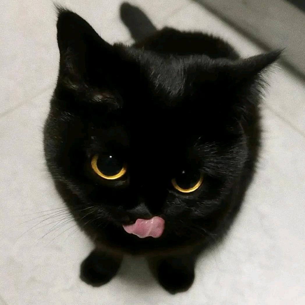 in