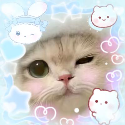 诺诺
