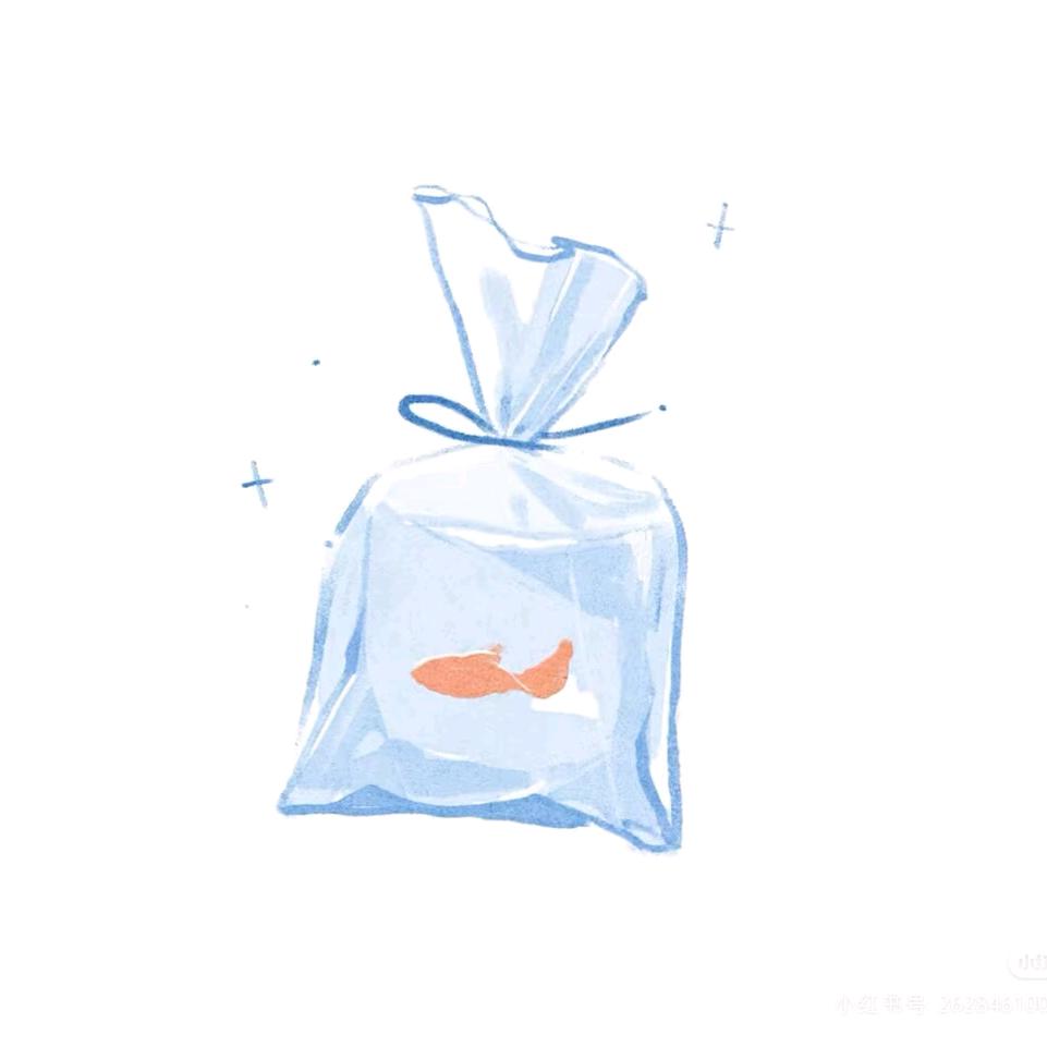 泡泡鱼🫧🐟