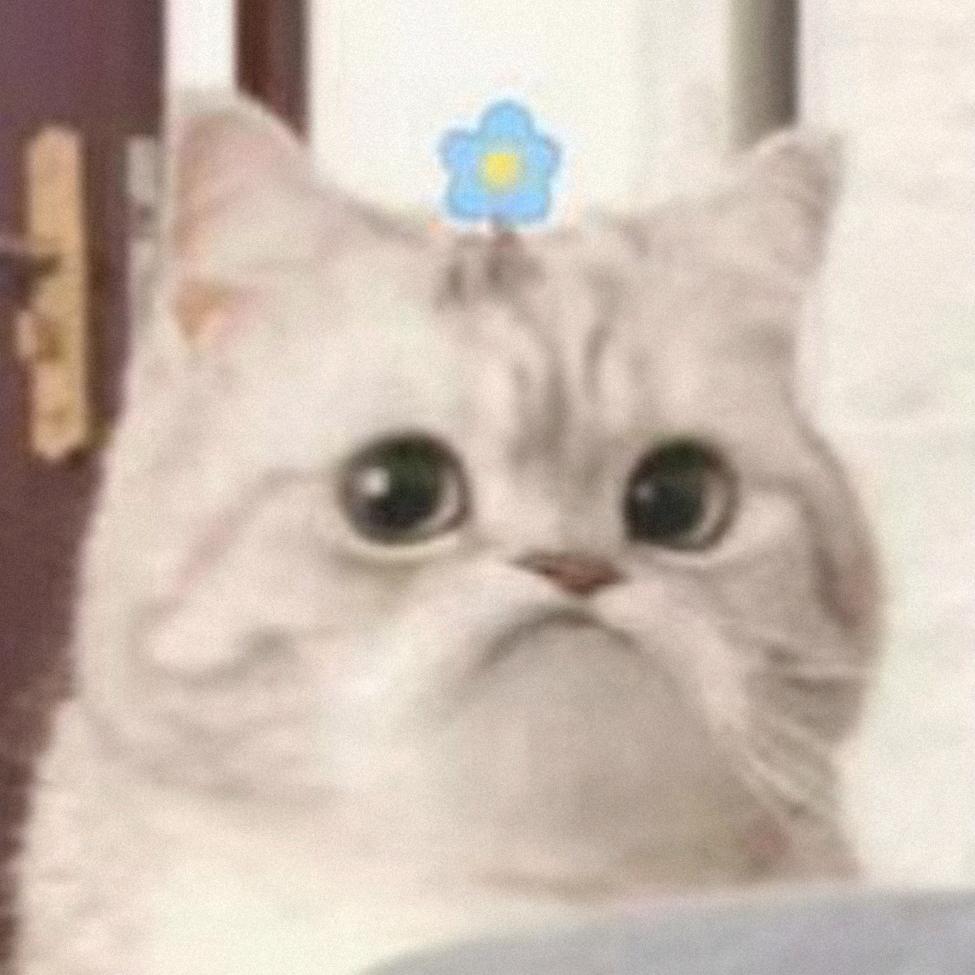 雪夜爱上猫