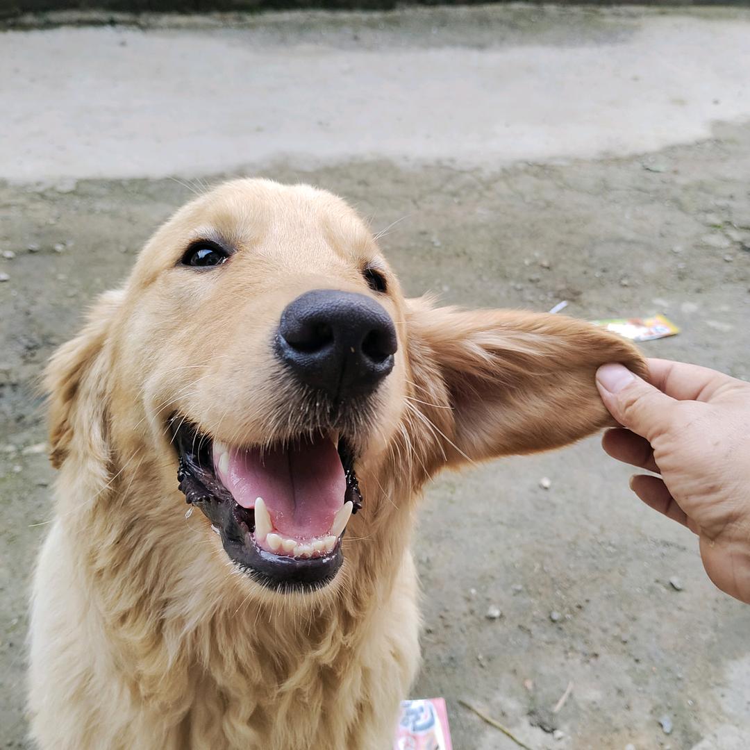 ꧔ꦿ᭄余生💞有你᭄࿐