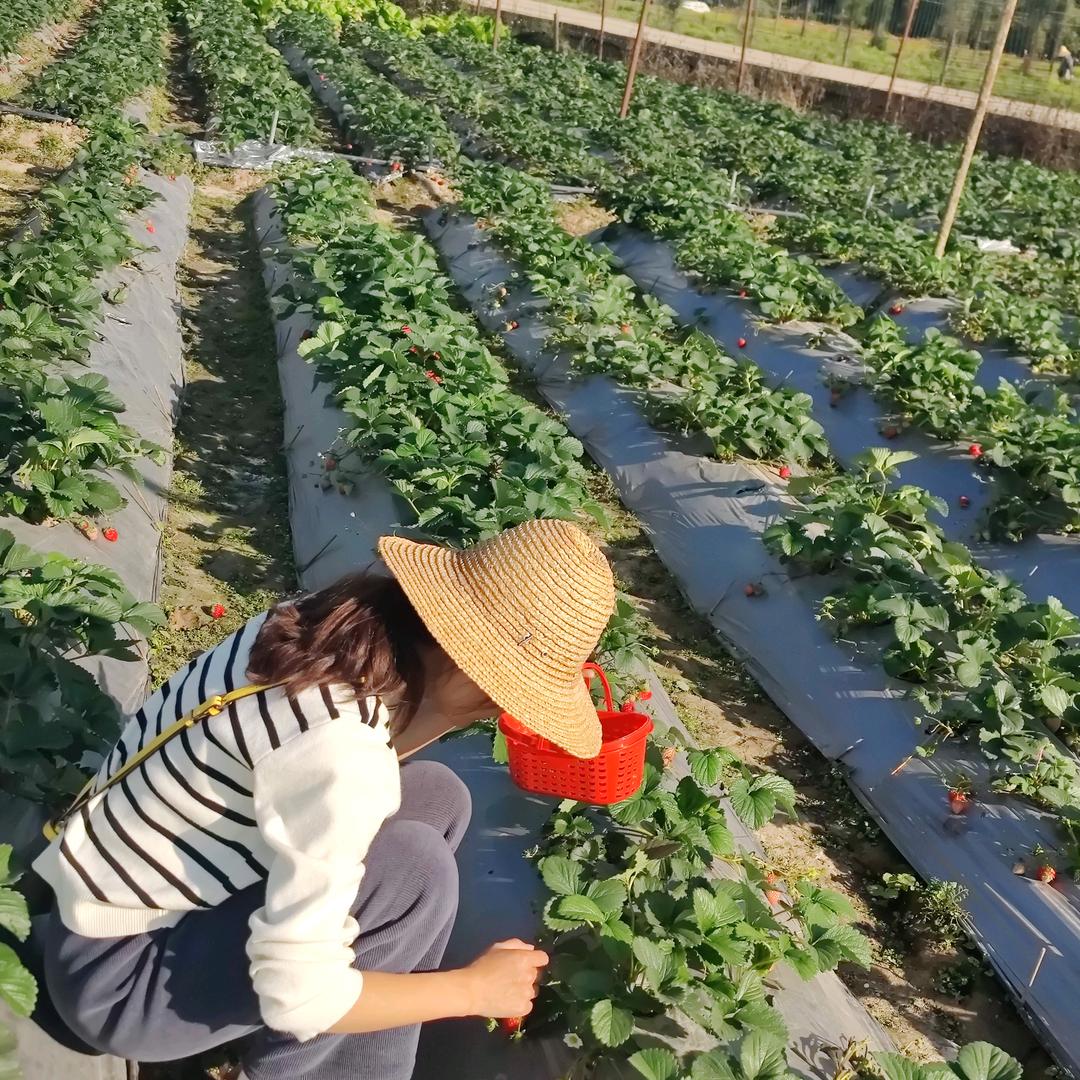 清风韵律