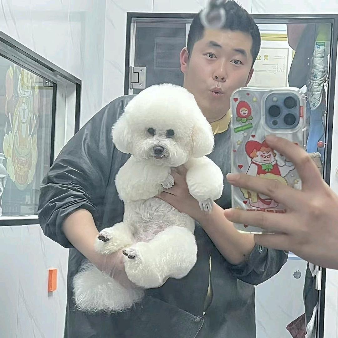 赵龙与狗