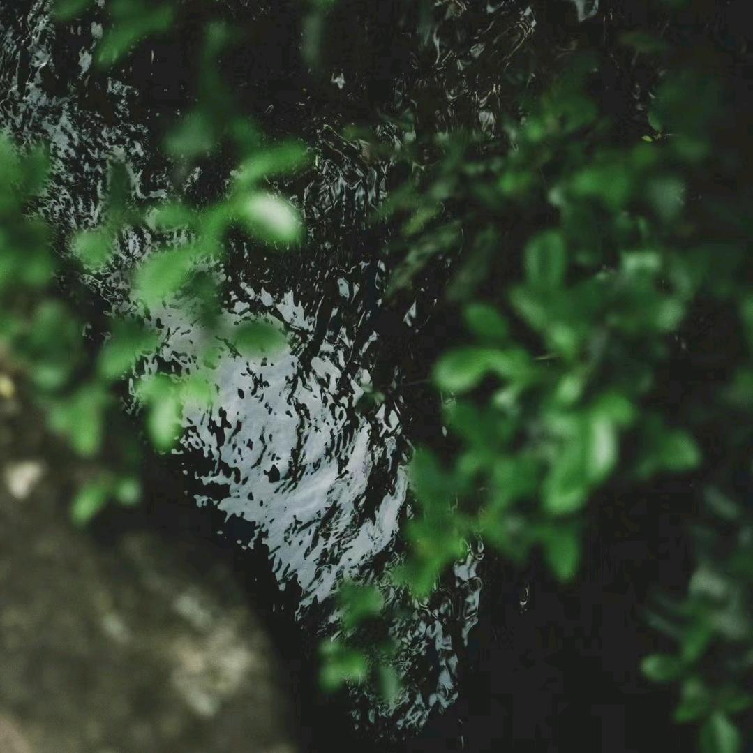 🥝所向披猕💰