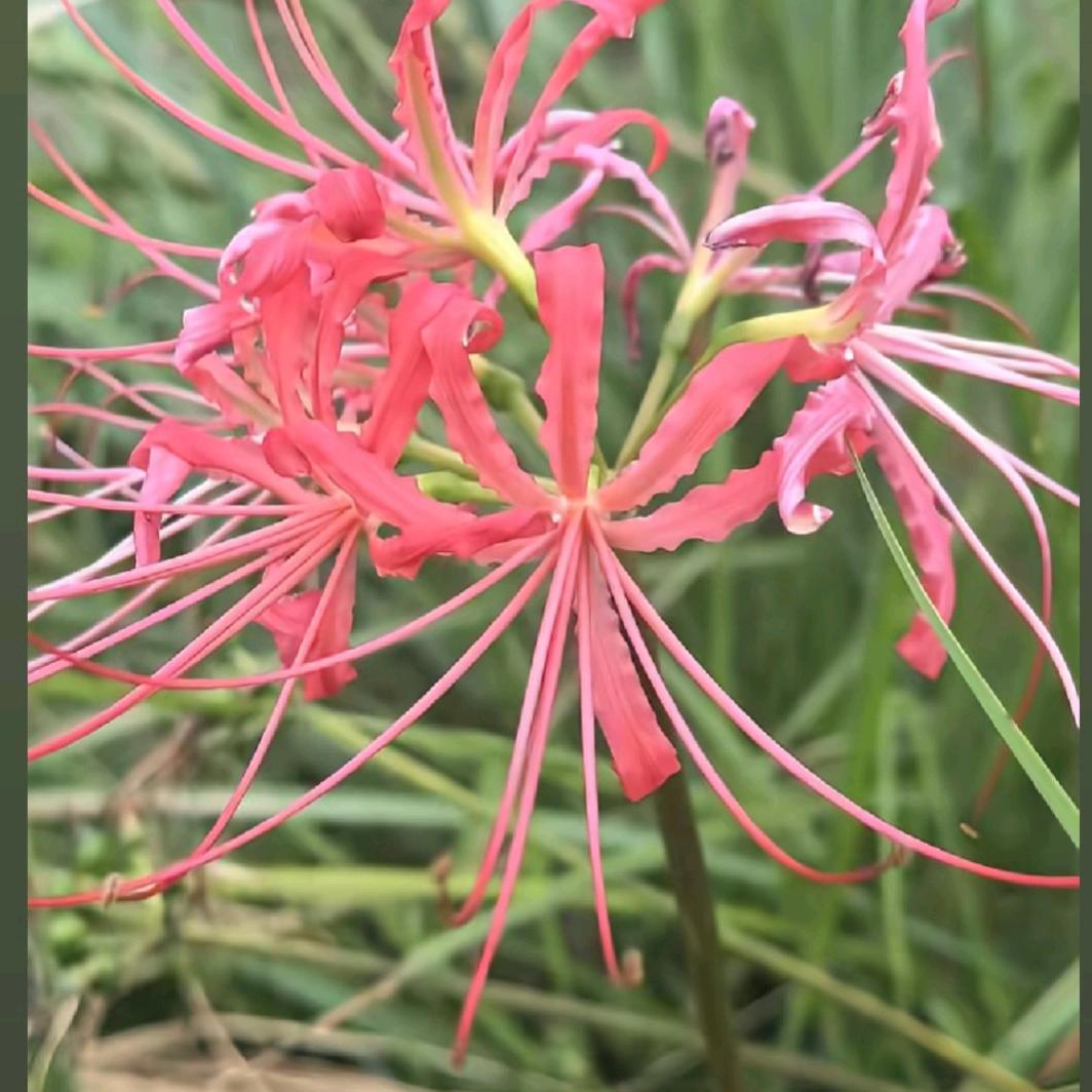 曾经心痛