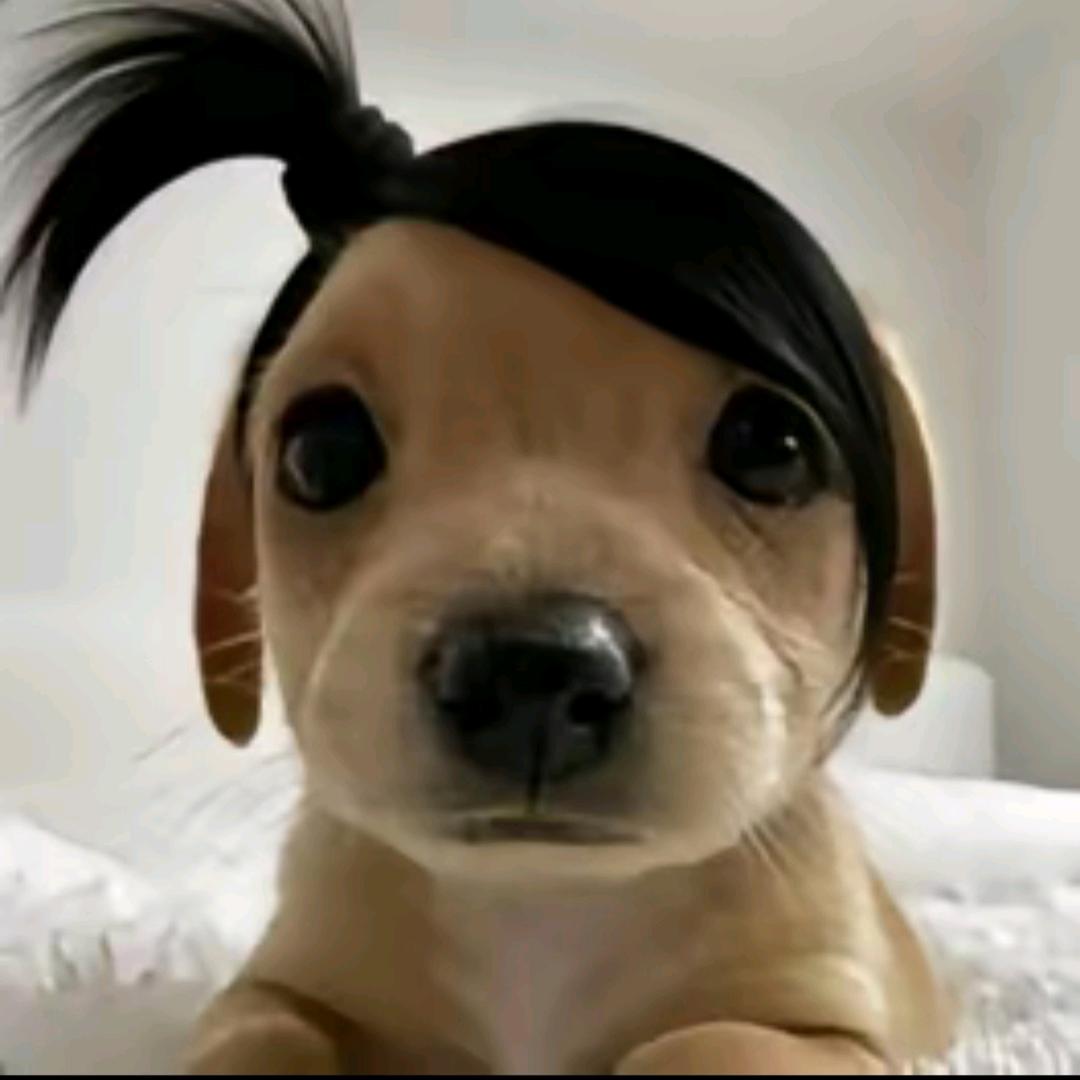 𝗖𝗰.大王