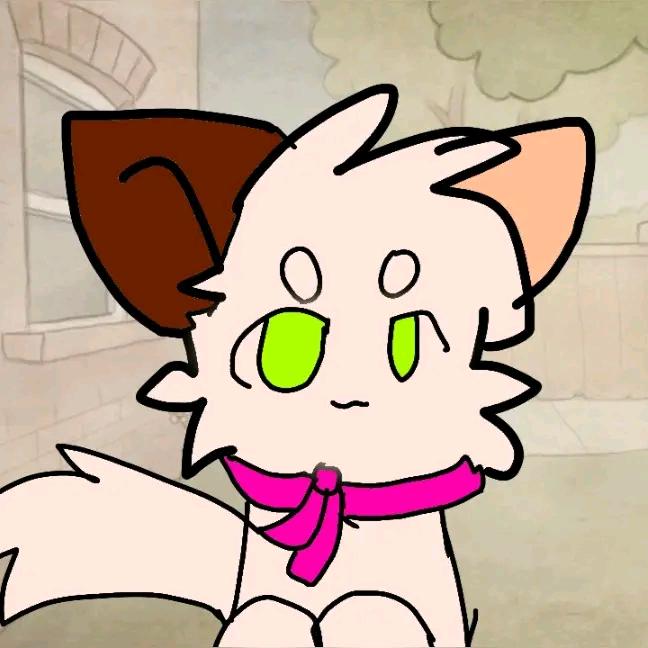 清风猫meme