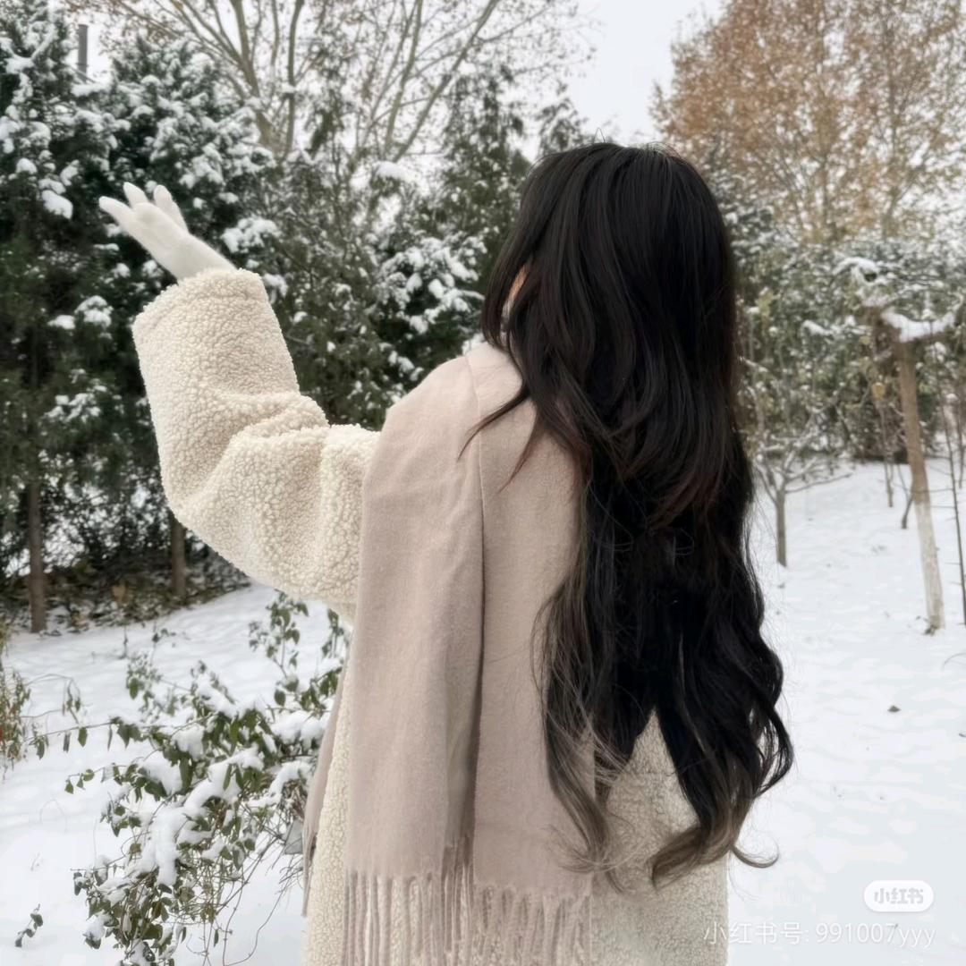 轩宝
