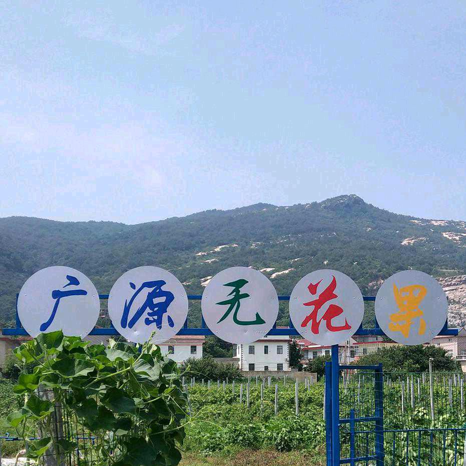 广源无花果