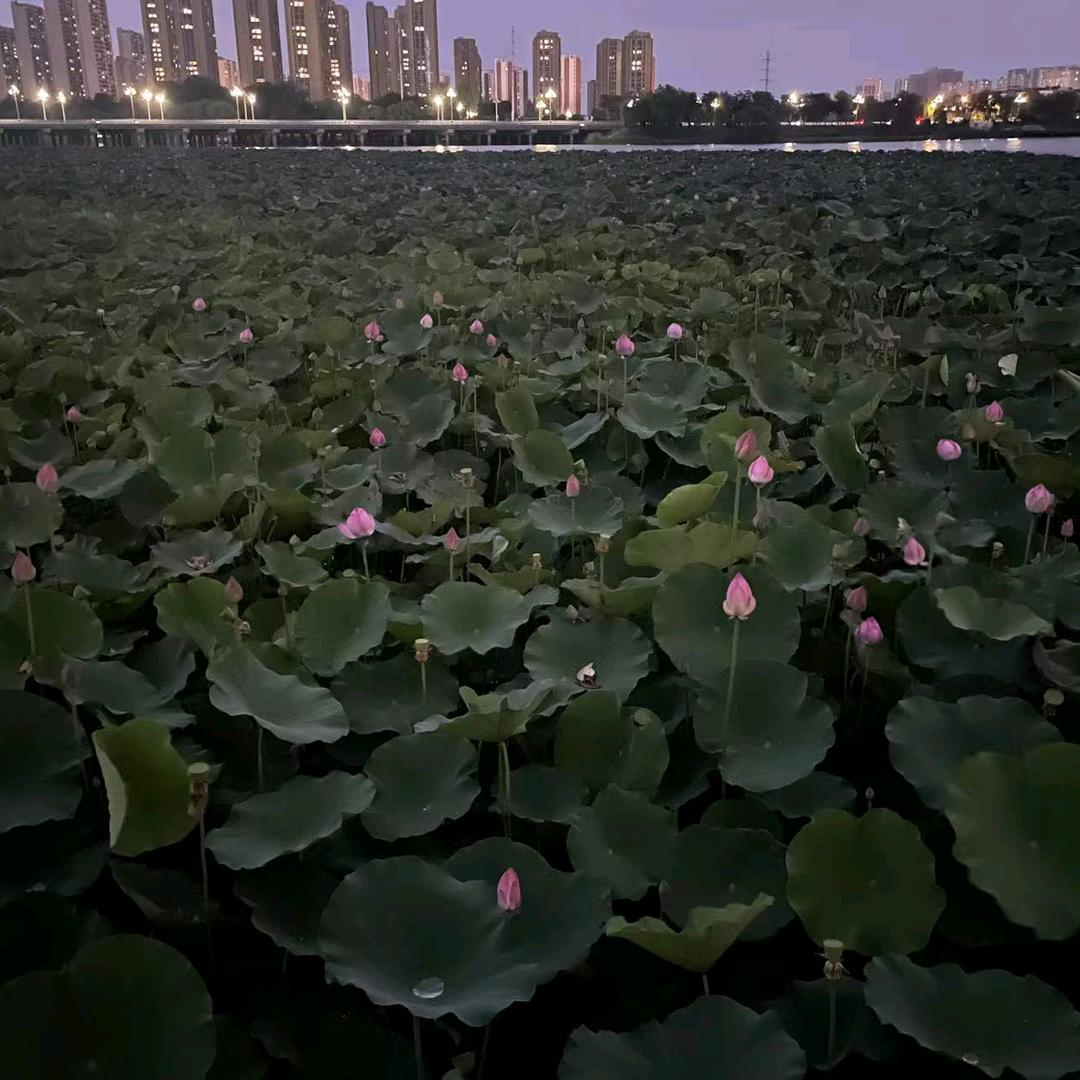 羊绒柔情绒品坊