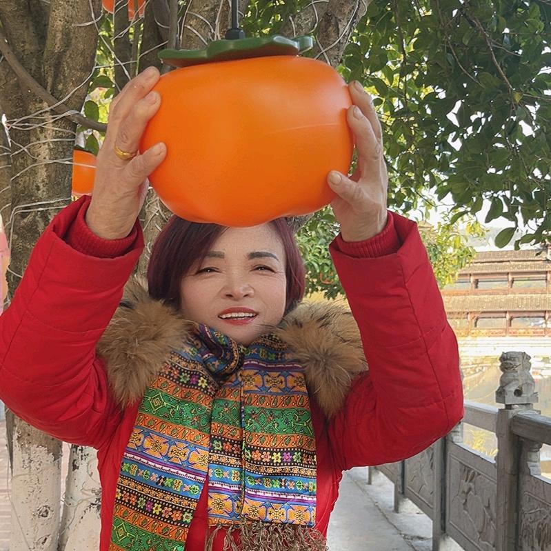 ✿我的未来不是梦