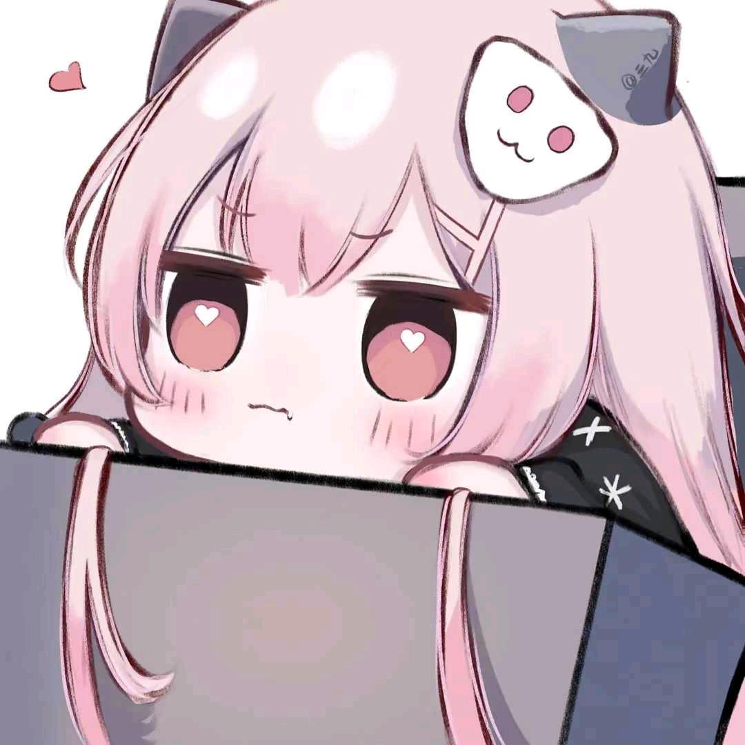 王者荣耀小罗（顶尖养猪流）