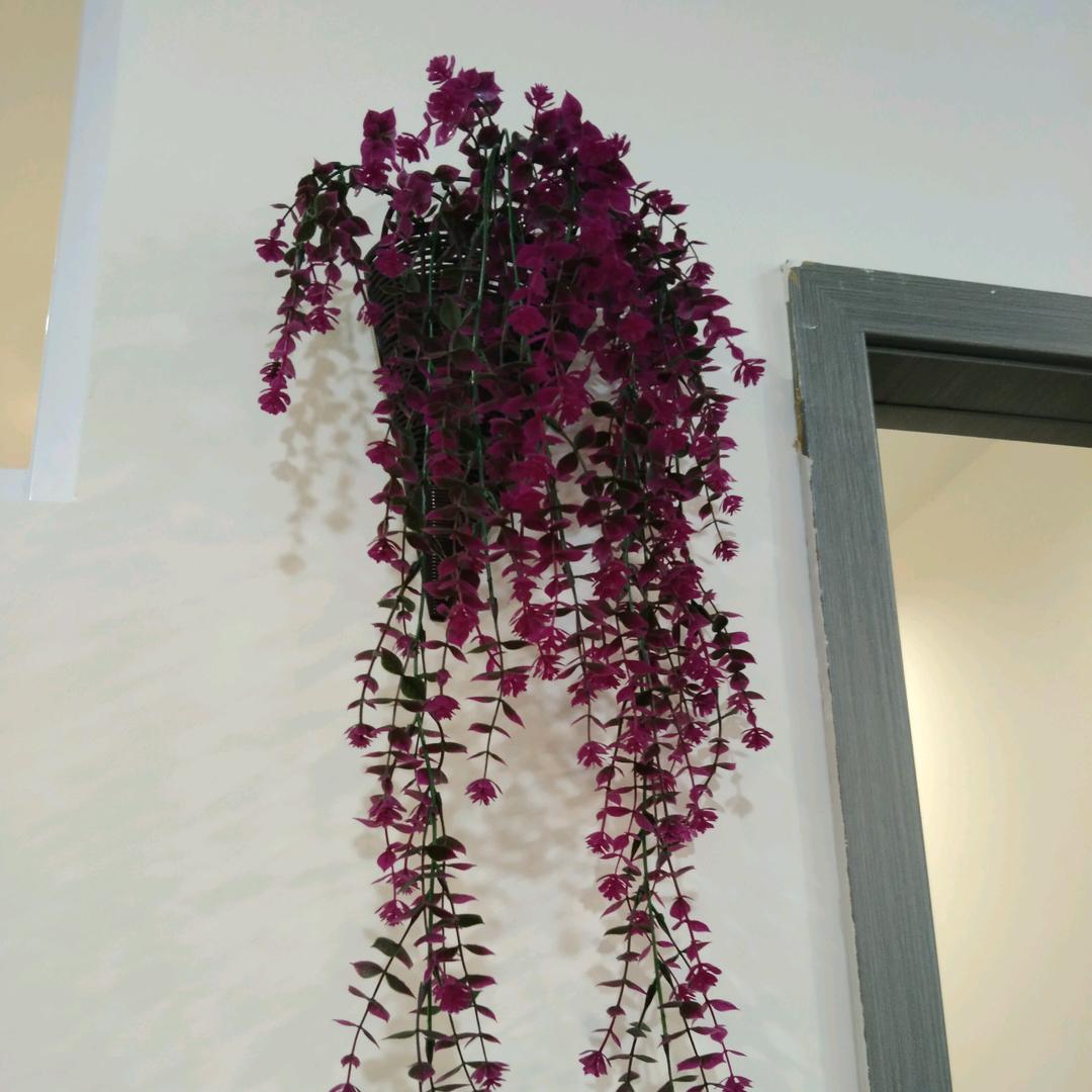 黄🍒妹🍒🌾🌹🌿