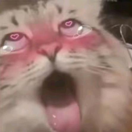 人活着就是为了凿