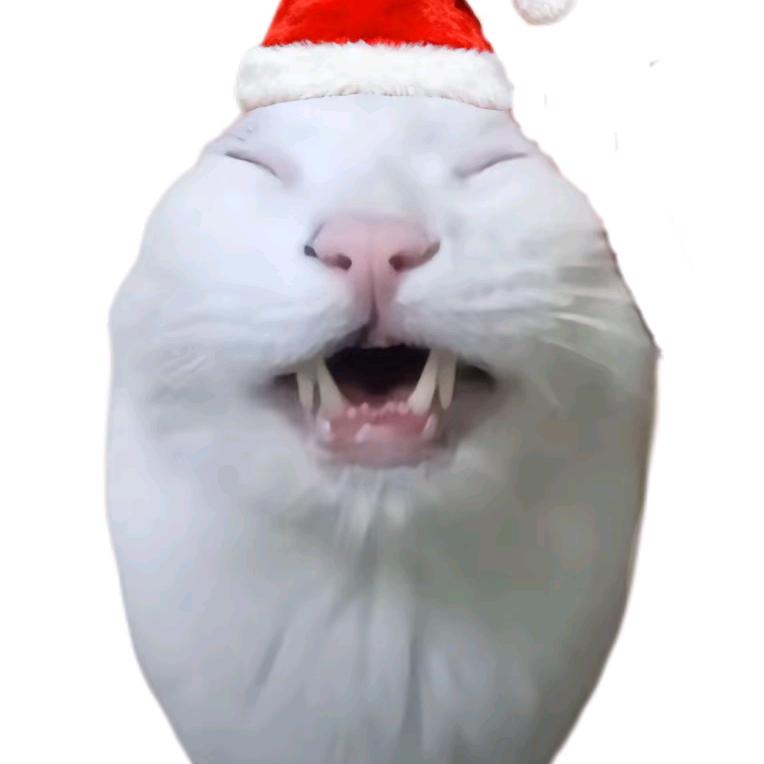 wonenqindie