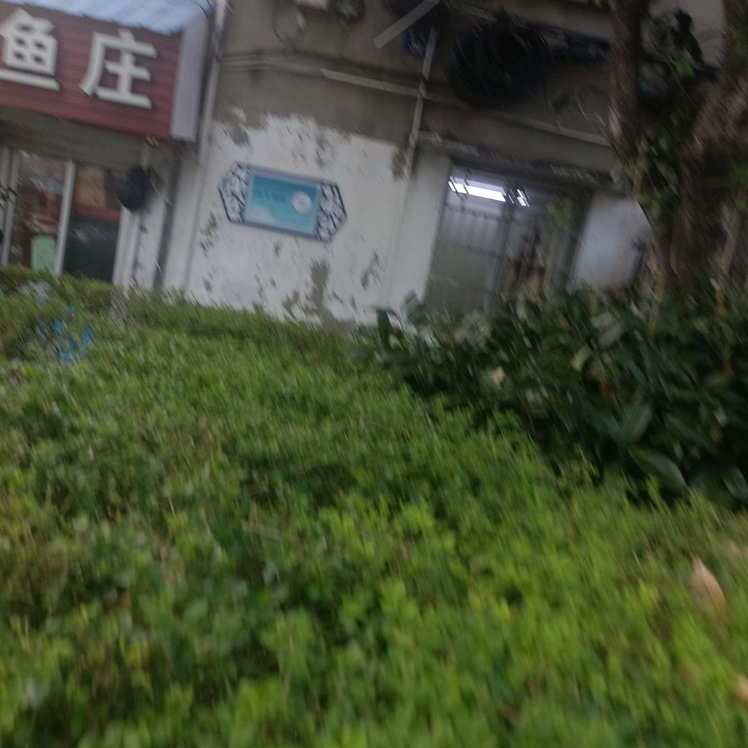 随心所欲