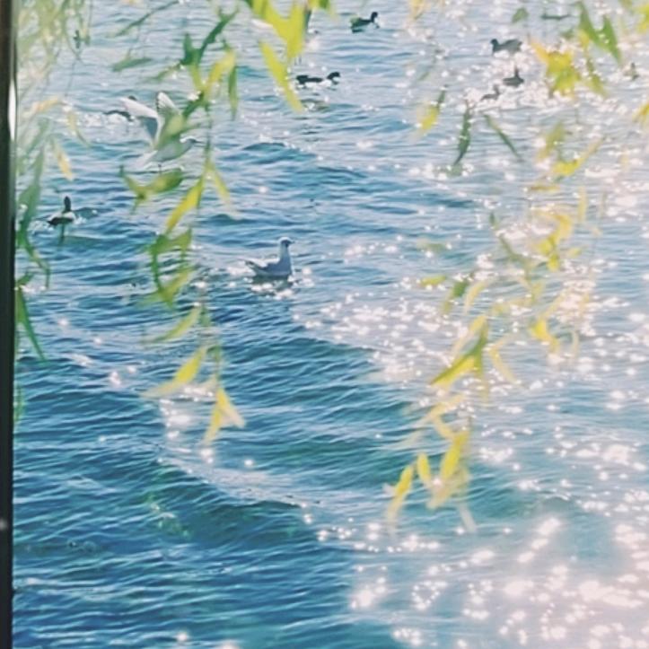 风过江（冲150粉）