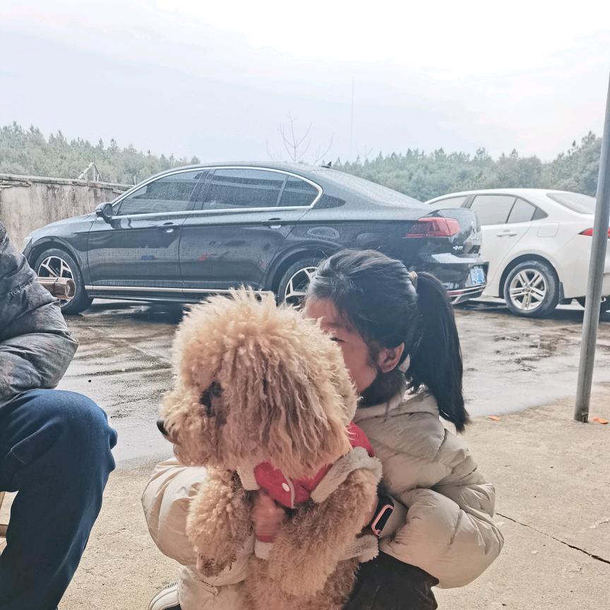 新通名车容容@