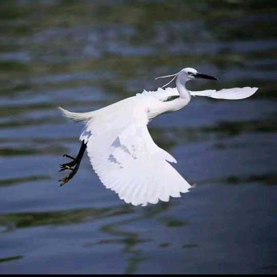 对你微笑纯属礼貌