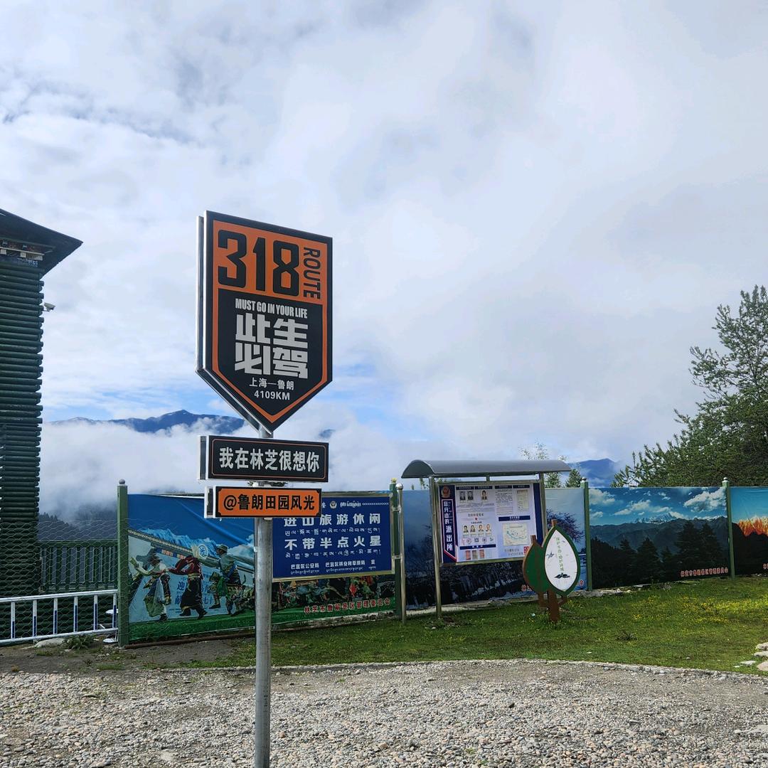 呵呵一笑很倾城