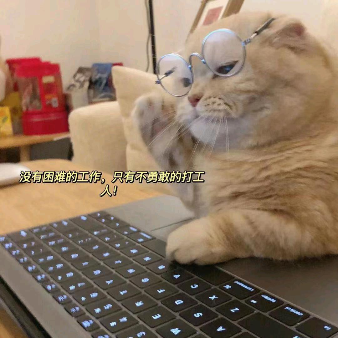 艾懿