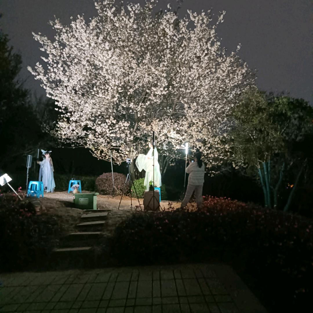 梦想成真，免年吉祥