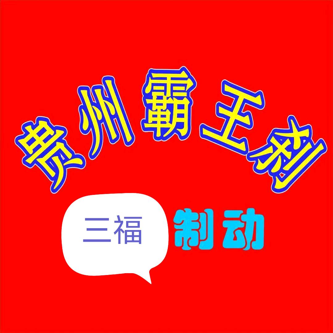 专业电脑改刹车