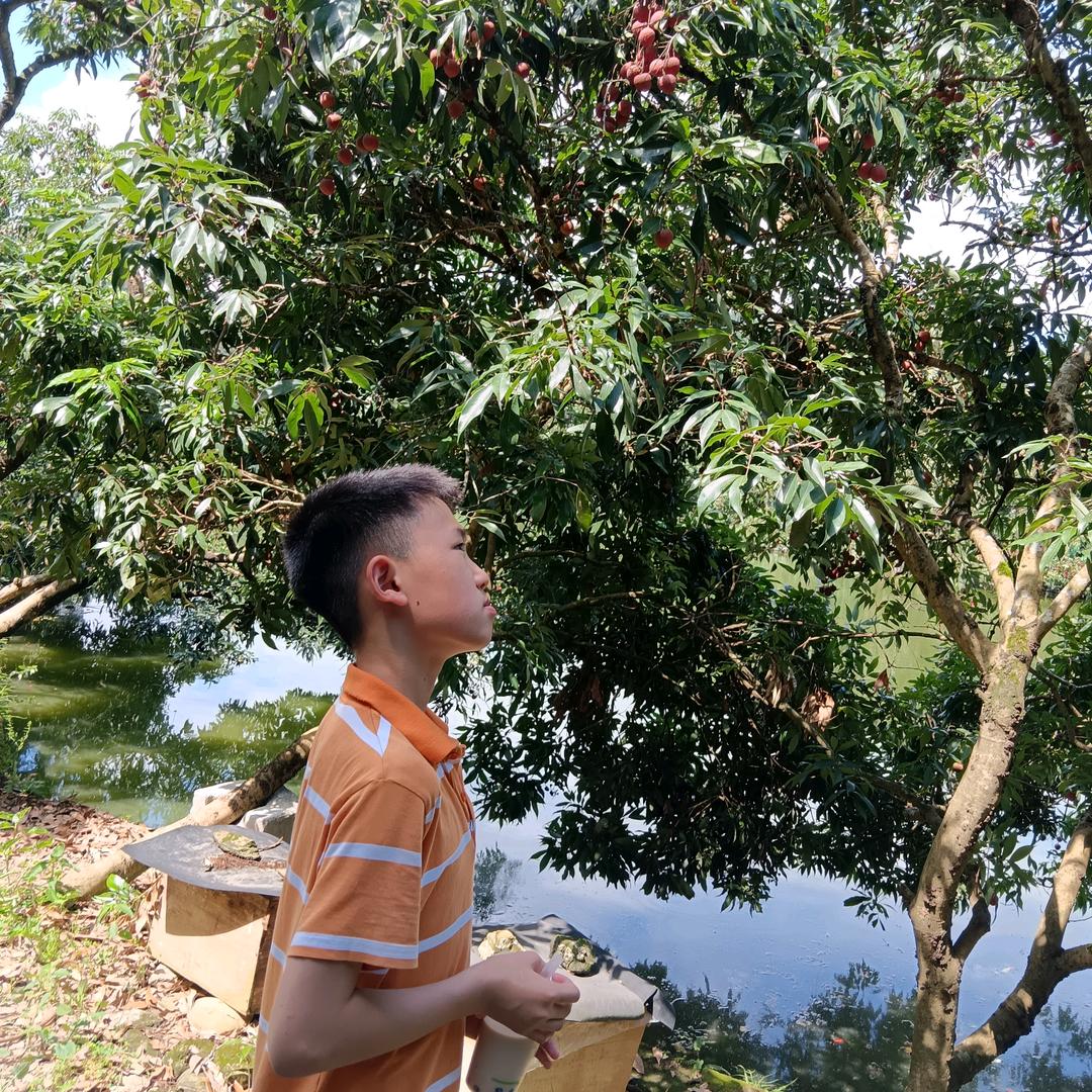 娇子