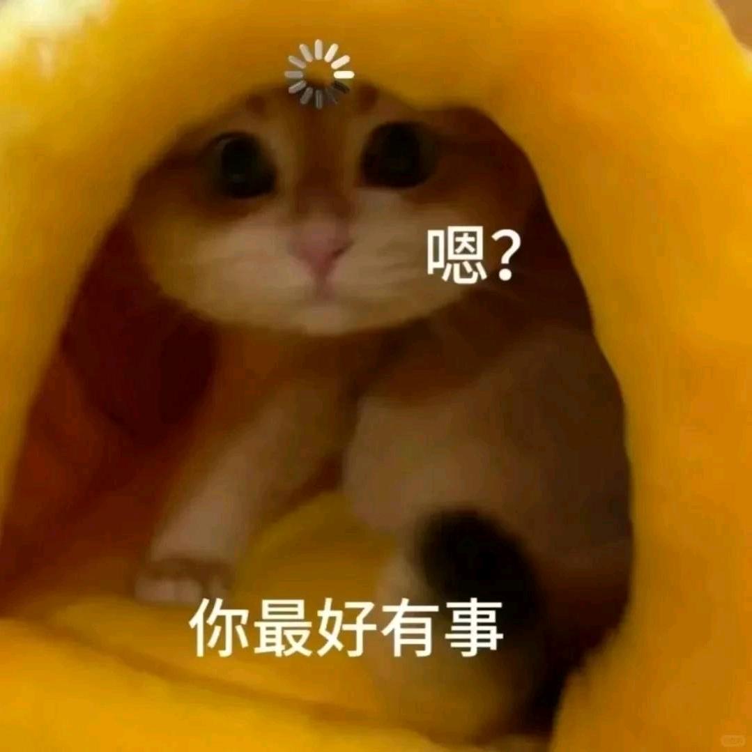 多罗罗