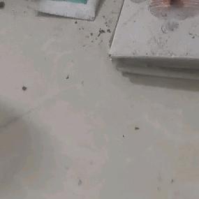 易经三元三合