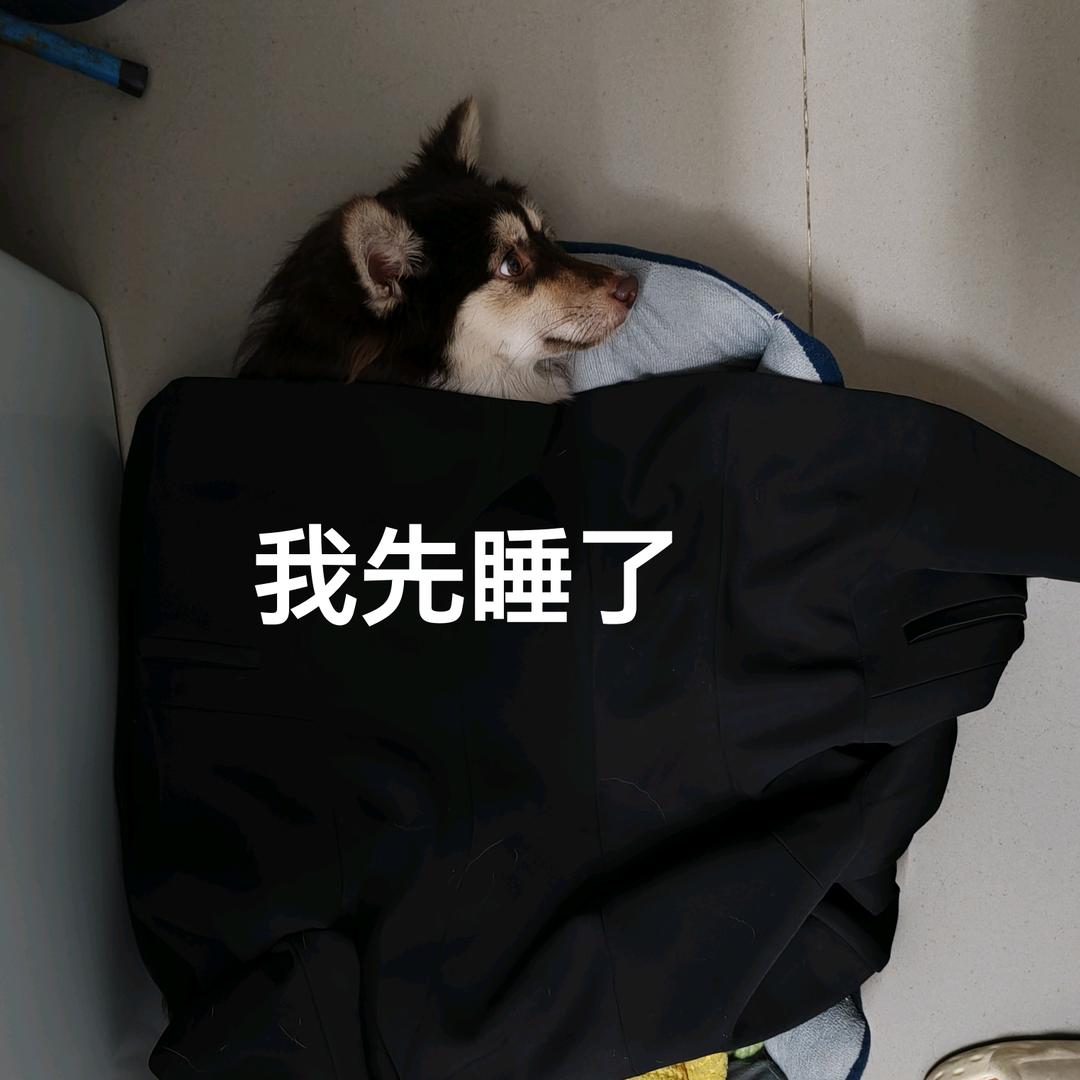 🐶大圣和小丁
