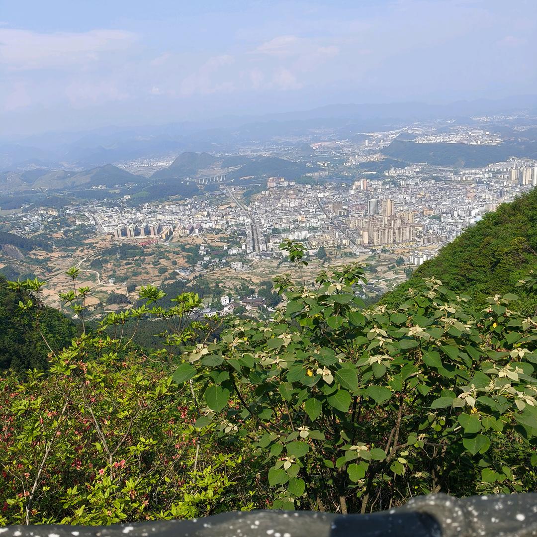 一个被伤透心的女人。