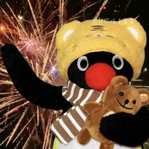 爱玩游戏的炒饭