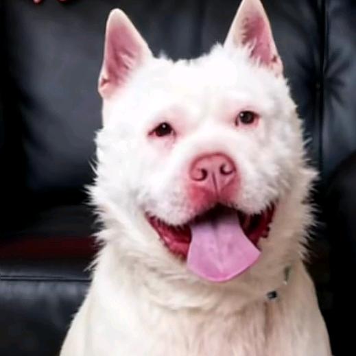 【逛逛户外】之【承蒙厚爱】