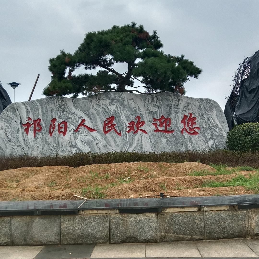 农村燕子