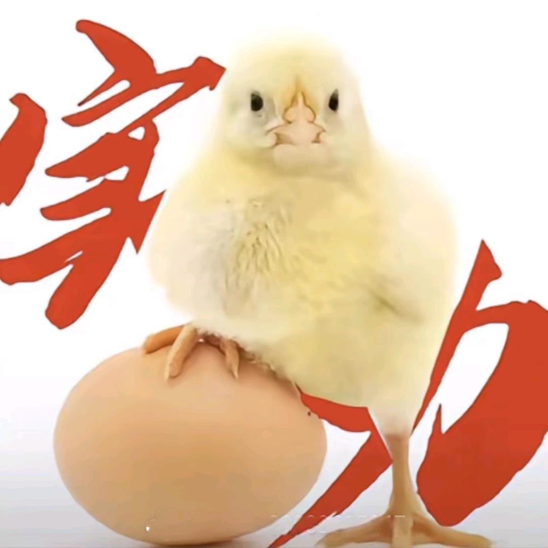 英语不上90不改名🐔