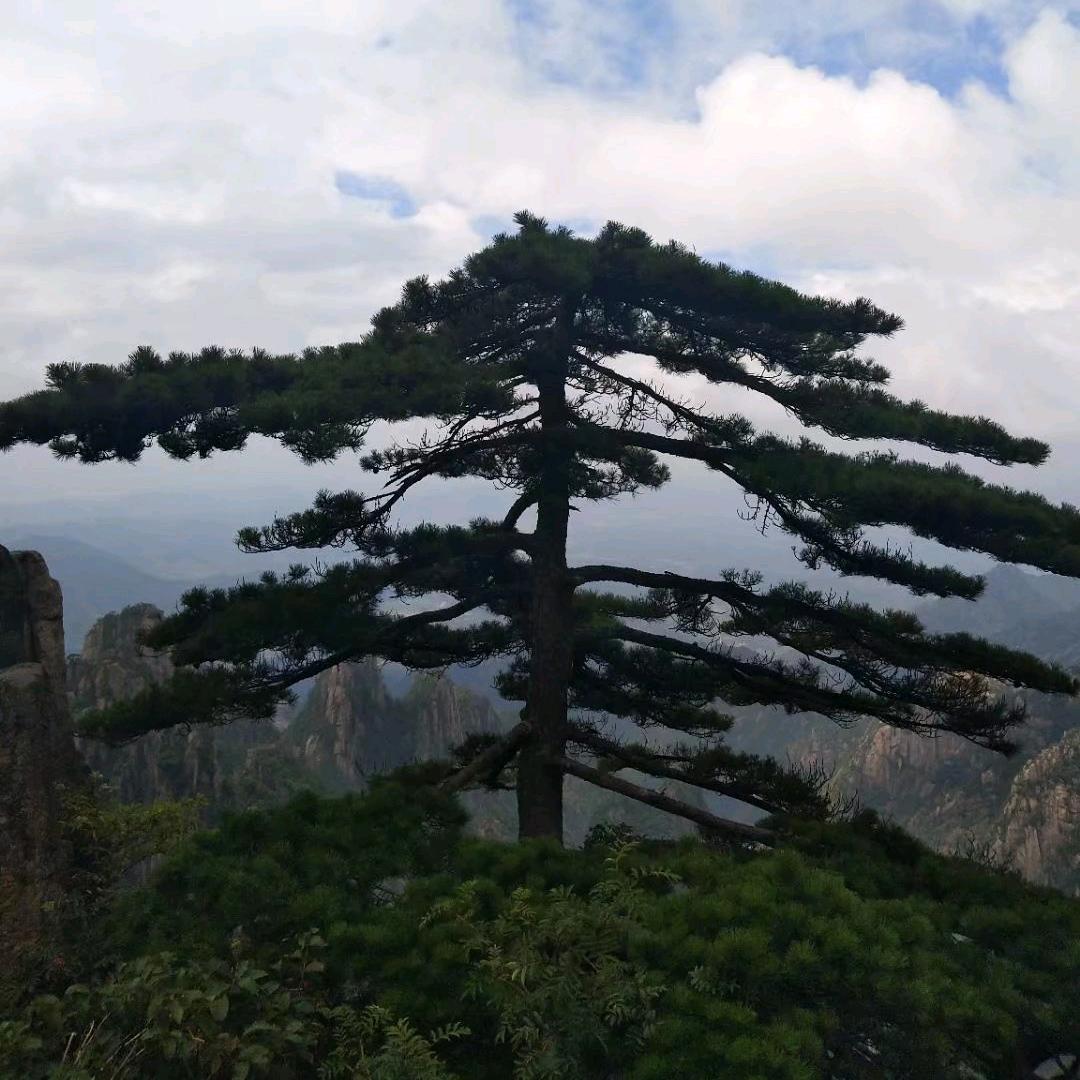 知足常乐