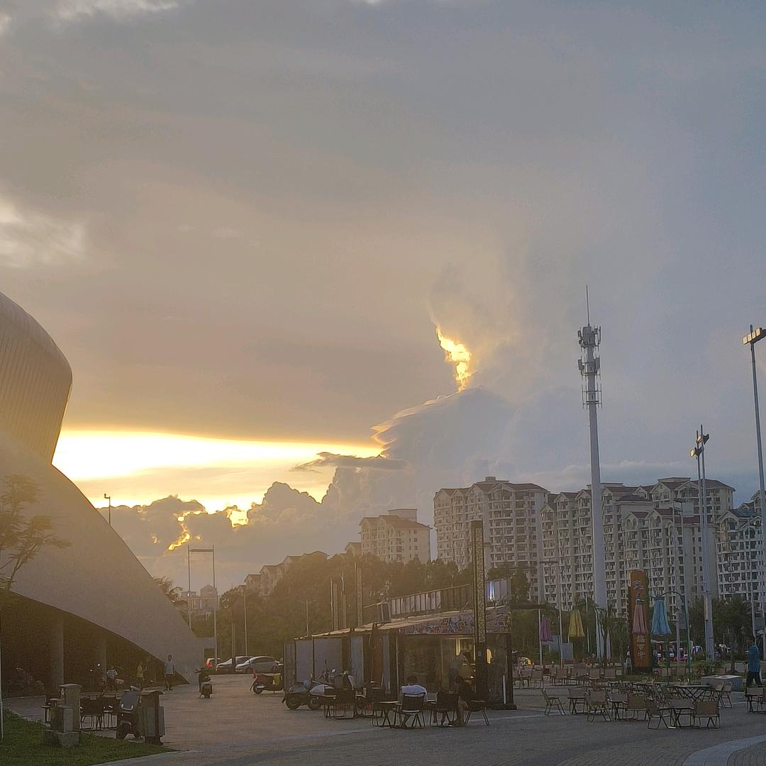 落叶随风(戒烟中)
