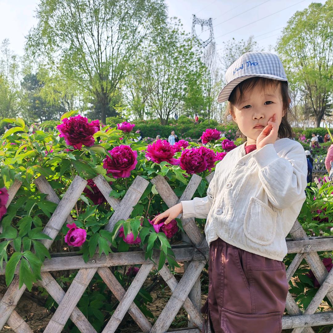 小夏（拒私聊）