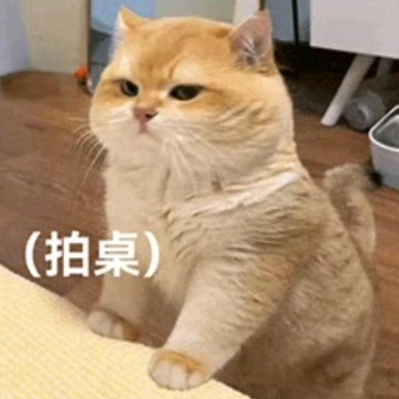 。。。。。