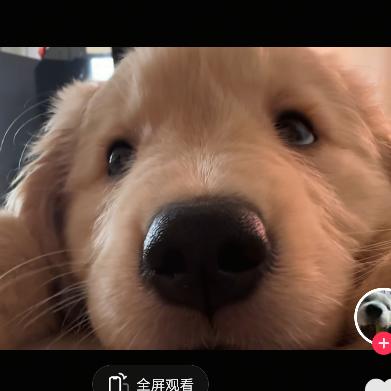 江小弟头像