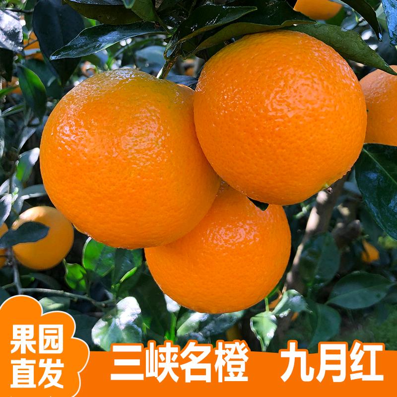 秭归县盼旺水果店