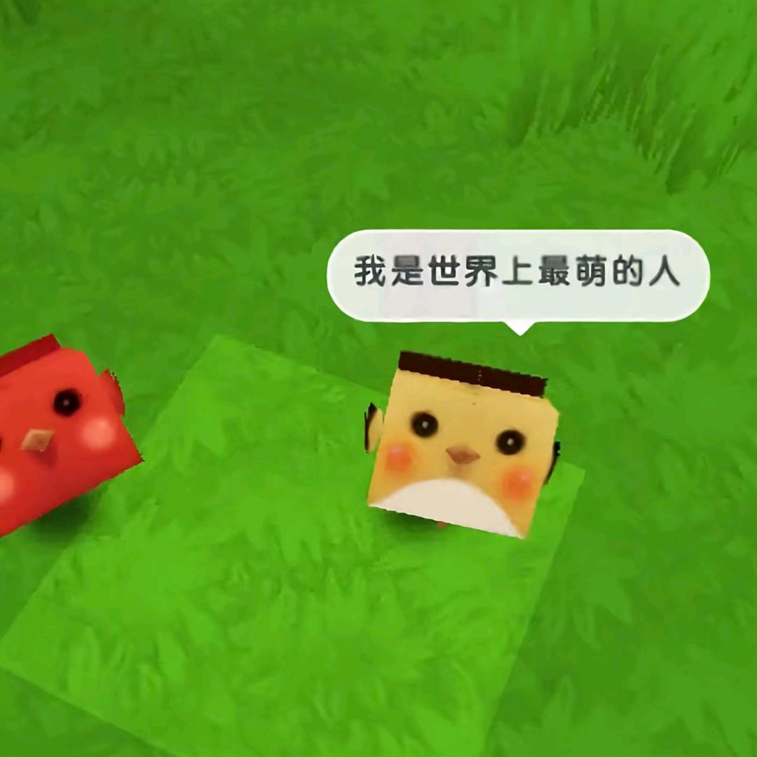咸鱼干●)o(●