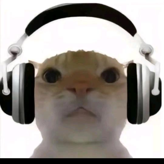肖猫牢底