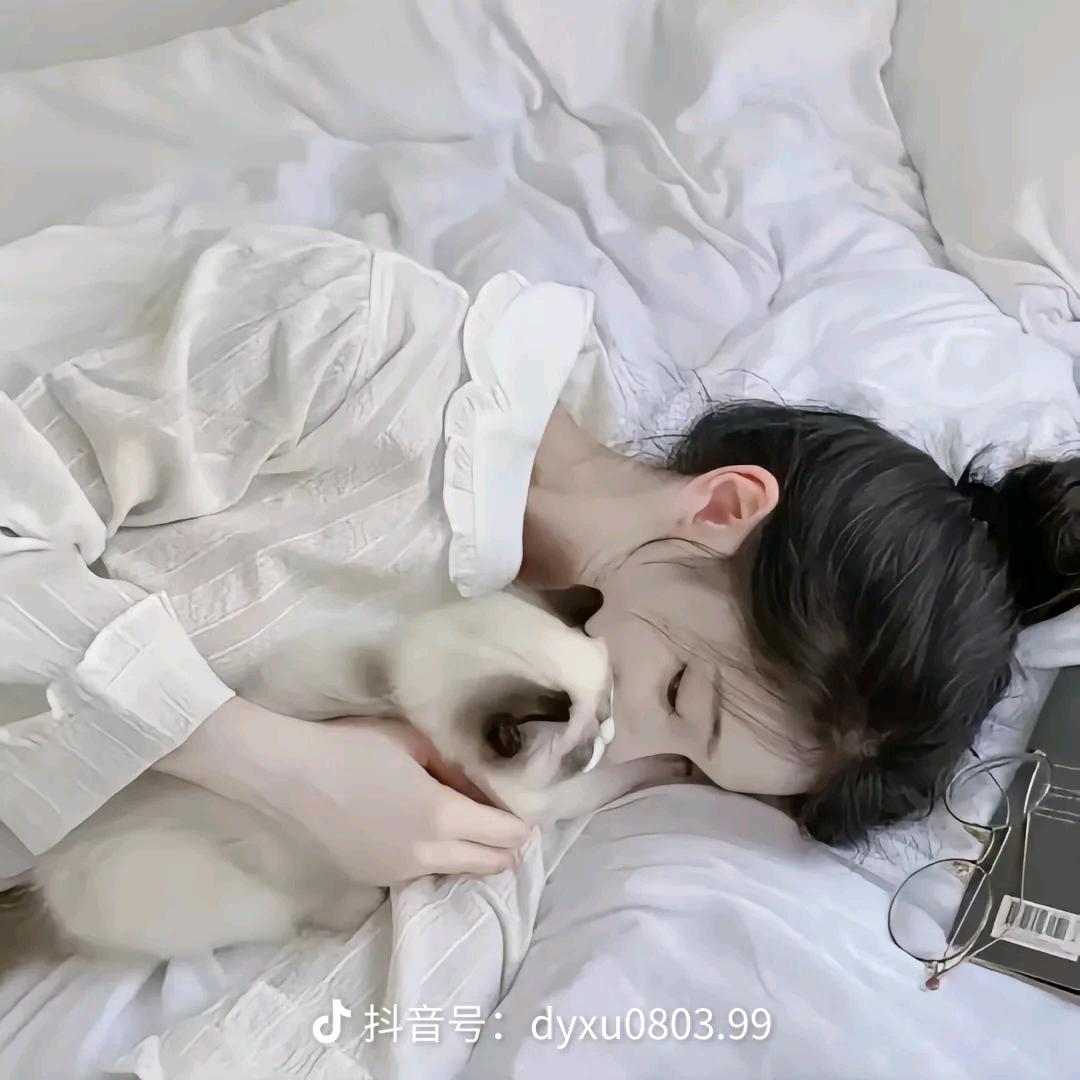 不蒋道理