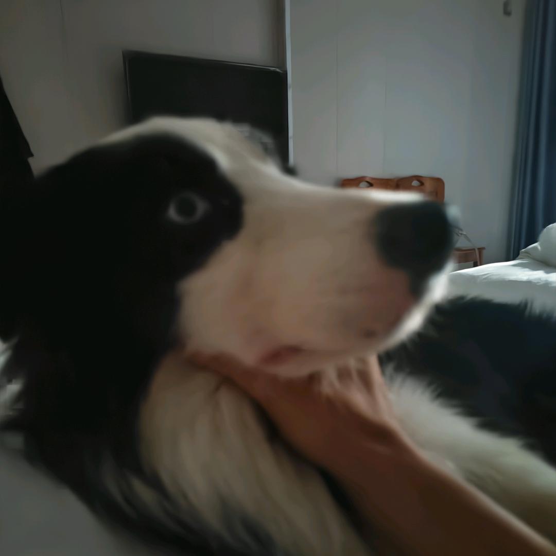 不充电的机器人